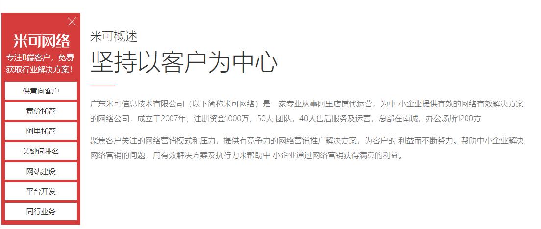 阿里巴巴代运营公司